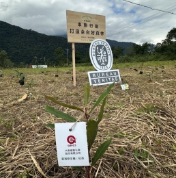 大东响应Bureau Veritas联合植树活动，携手迈向永续